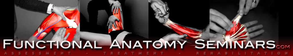 functional-anatomy-masthead